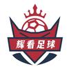 辉看足球头像