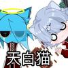 天白猫不是猫头像