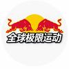 全球极限运动头像