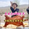 武威流动烤全羊《凉州烤羊倌》头像