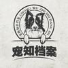 宠知档案头像