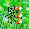 绿林影视头像