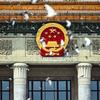 文化眼光儿头像