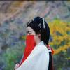 逐光悦影头像