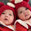双胞胎 婉婉·图图头像