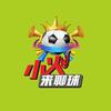 小火来聊球头像