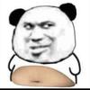 胖龙龙头像