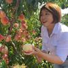 石清清-蒙阴裕果苗木头像