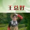 期海观澜头像