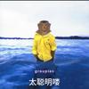 带派的啊青头像