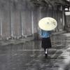 芷菡头像