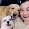 一只沙雕犬头像