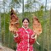 小二妹头像