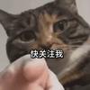财富快车头像