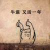 隔壁老王头像