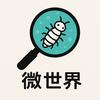 微世界头像