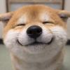 小宇的日常头像