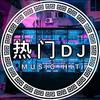 DJ阿林头像