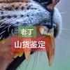 东南亚老丁文玩头像