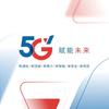 波仔通信头像