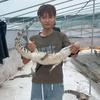 辉辉鳄鱼养殖头像