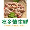 农乡情生鲜经营部头像