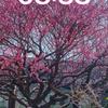 梅兰山庄（少庄主）头像