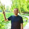丹凤芝兰君子（曹老师教育分享）头像
