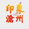 印象沧州头像
