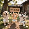 兜兜里有喵😸头像