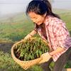 娅娅的生活日记头像