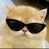 布一二猫头像