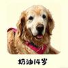 14岁奶油的拾光头像
