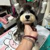 安丘名宠宠物头像