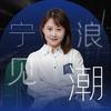 宁见浪潮头像
