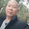 大杨树头像