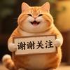 胖橘猫头像