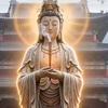 慧能 （主页进群找到我）头像