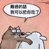 飞飞最best头像