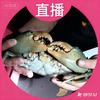 老表~户外赶海头像