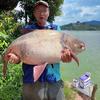 小邓鲢鳙记🎣头像