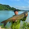 小辉野钓🎣头像