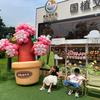 森森吖头像