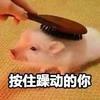 一枚吃货头像