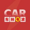 车林电波头像