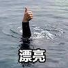 热梗纪录片头像