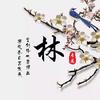 林丽头像