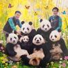 福猪猪是bao头像