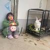 小宝总头像