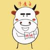 牛魔王，欧美海外仓 -tk/希音-虚拟仓头像